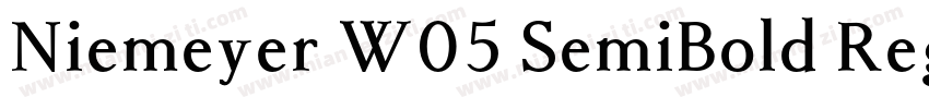Niemeyer W05 SemiBold Regular字体转换